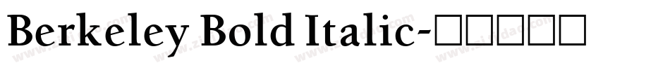 Berkeley Bold Italic字体转换